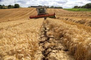 У межах «Grain from Ukraine» було експортовано понад 200 тисяч тонн продовольства