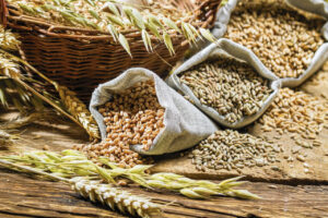 Україна увійшла до трійки найбільших постачальників агропродукції до Туреччини