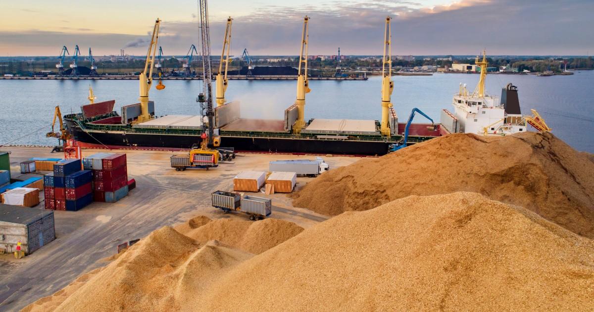 За час війни Україна експортувала 300 тис. тонн зерна як гуманітарну допомогу